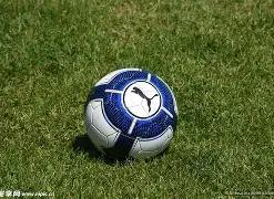 叶念琛,双星闪耀,影迷心系情,B体育平台,B体育官方网站,B体育登录入口,B体育app下载