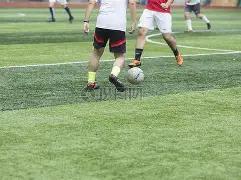 美元强势与,风险情绪升,温致金价回,B体育平台,B体育官方网站,B体育登录入口,B体育app下载